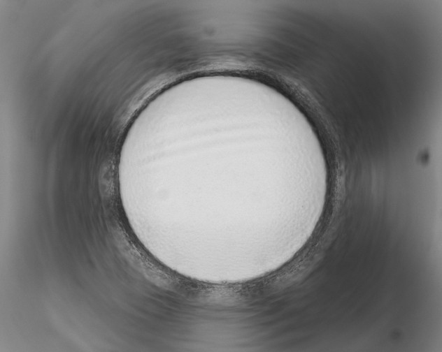 X0000115011409200912071153