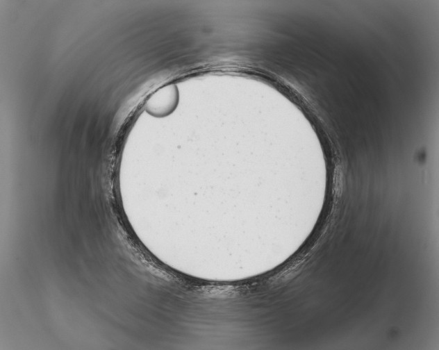 X0000115011410200912071153