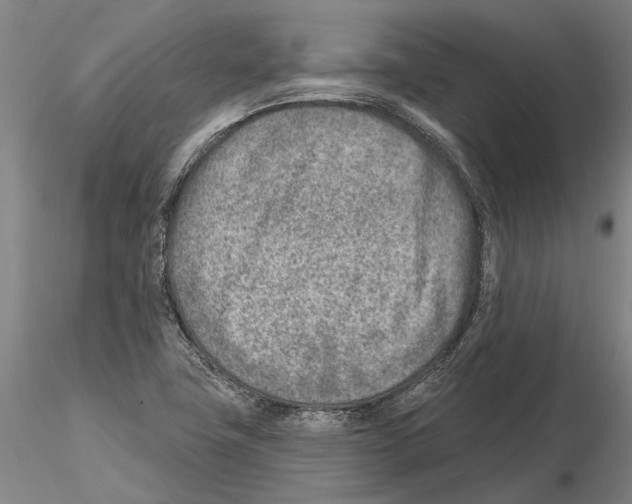 X0000115011411200912071153