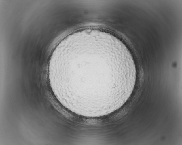 X0000115011413200912071153
