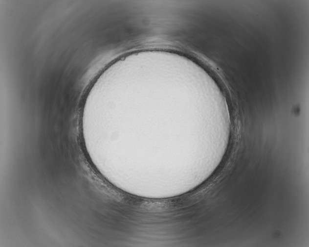 X0000115011415200912071153