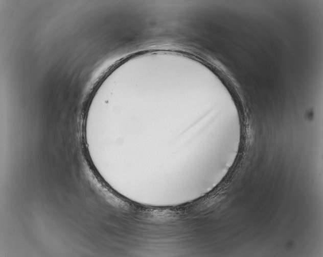 X0000115011416200912071154