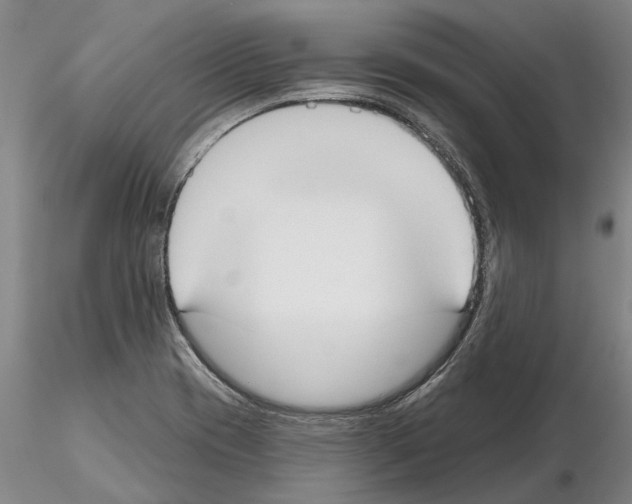 X0000115011417200912071154