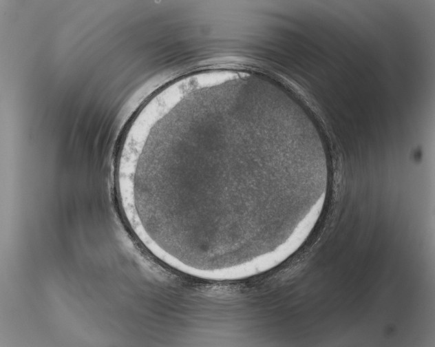 X0000115011418200912071154