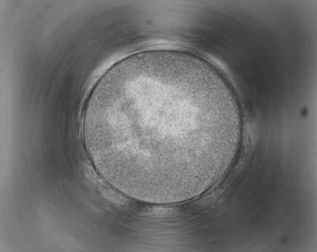 X0000115011419200912071154