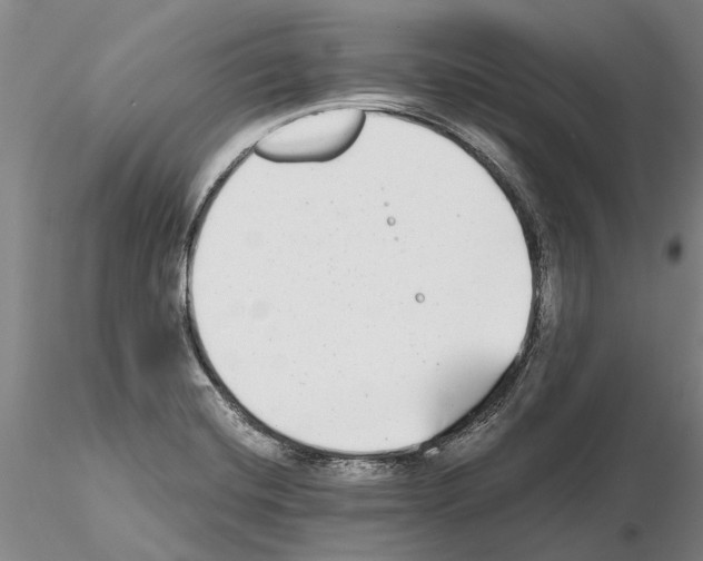 X0000115011420200912071154