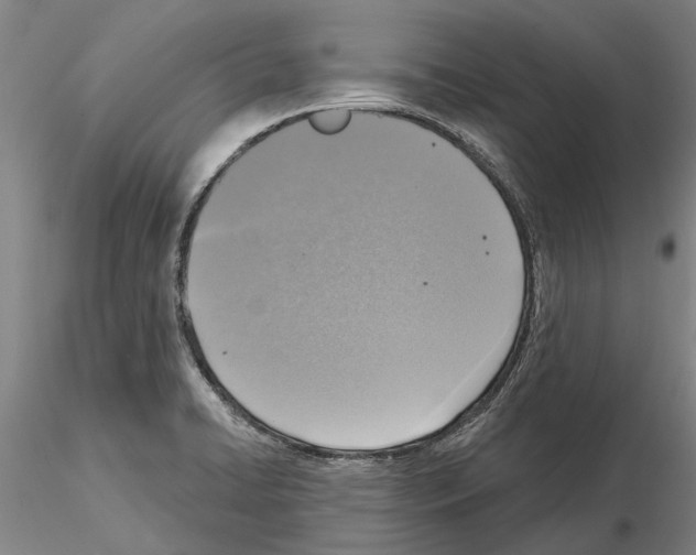 X0000115011422200912071154