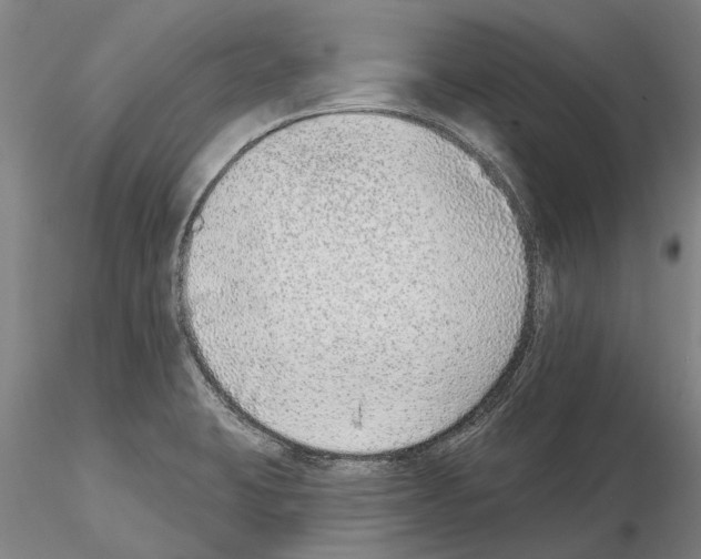 X0000115011423200912071154