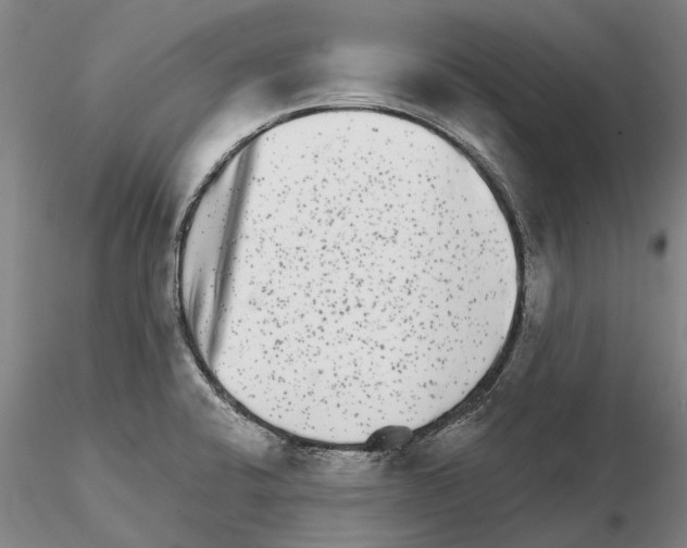 X0000115011424200912071154