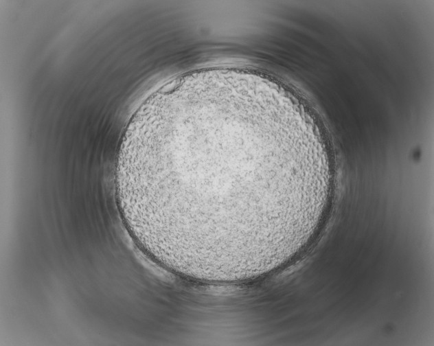 X0000115011425200912071154