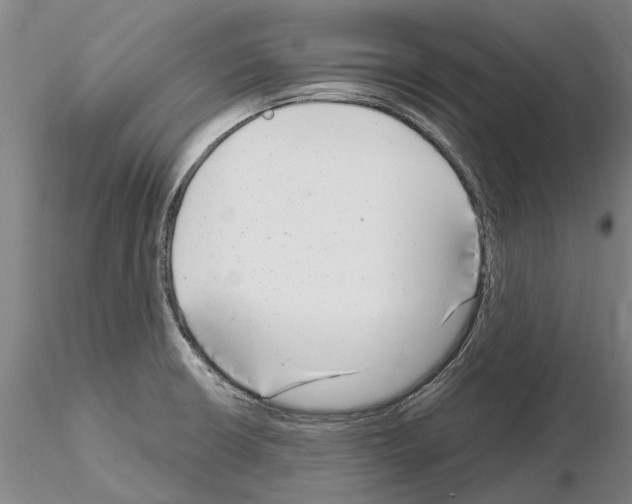 X0000115011426200912071154