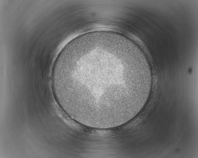 X0000115011427200912071154