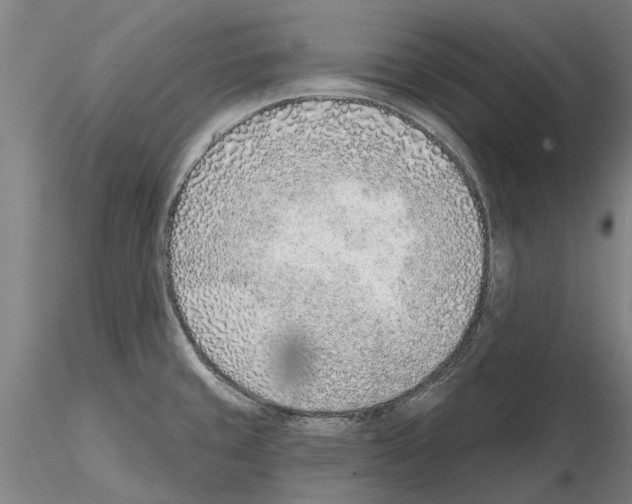 X0000115011429200912071154