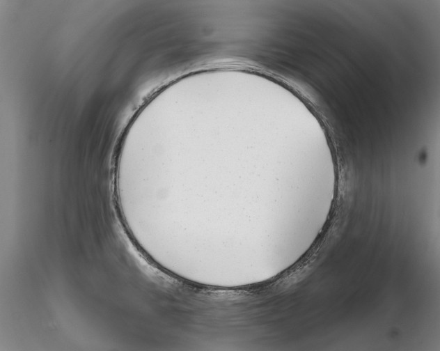 X0000115011430200912071154