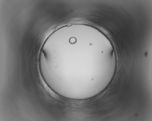 X0000115011431200912071154