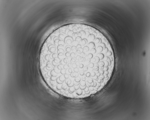X0000115011432200912071154