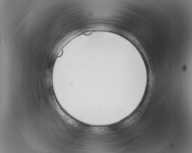 X0000115011433200912071154
