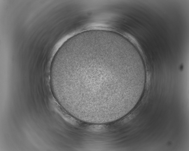 X0000115011435200912071154