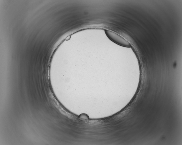 X0000115011436200912071154