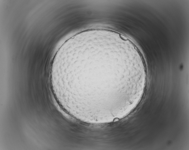 X0000115011437200912071154