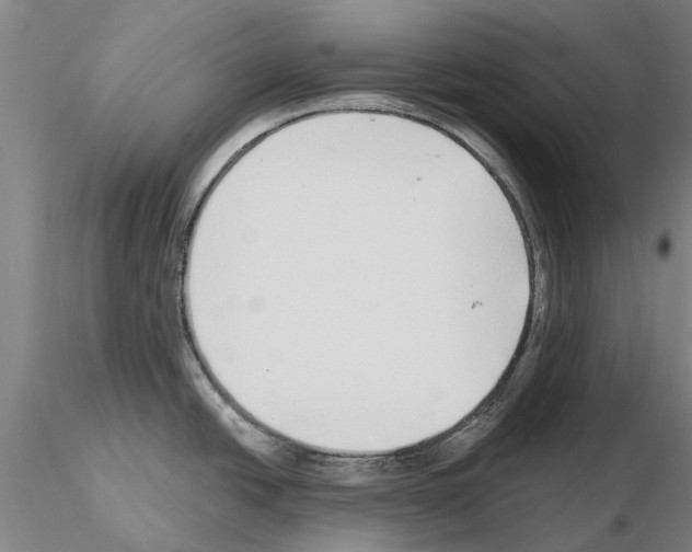 X0000115011438200912071154