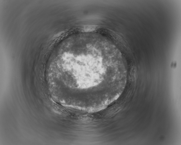 X0000115011441200912071153