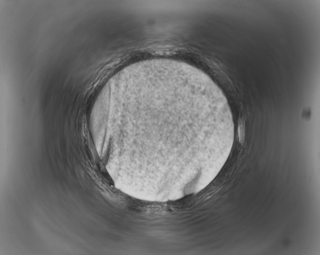 X0000115011444200912071153