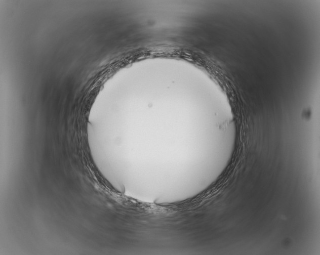 X0000115011445200912071153