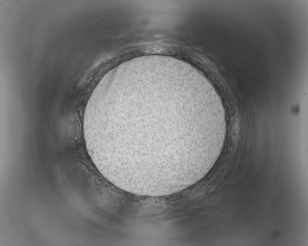 X0000115011446200912071153