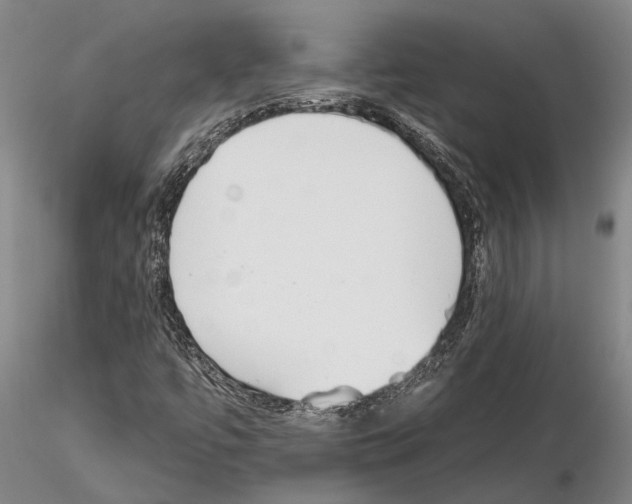 X0000115011447200912071153