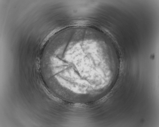 X0000115011449200912071153