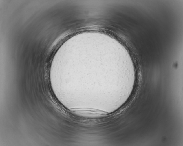 X0000115011450200912071153