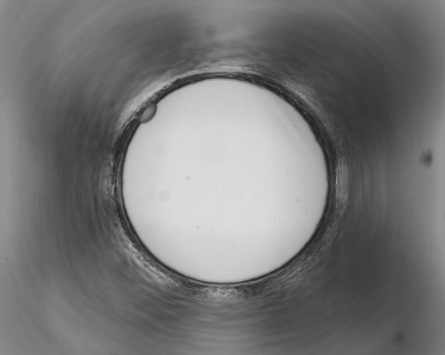 X0000115011452200912071153