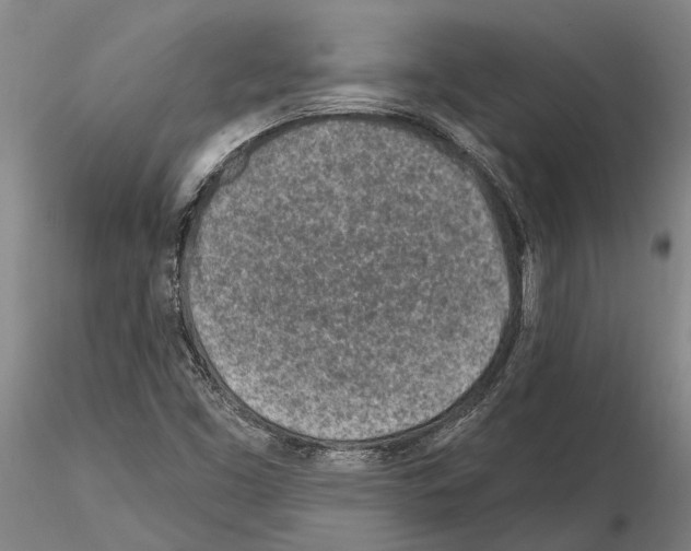 X0000115011453200912071153