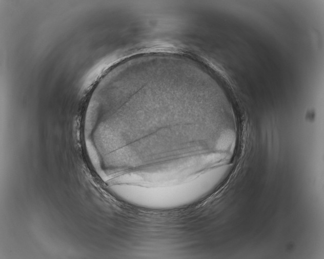 X0000115011455200912071153