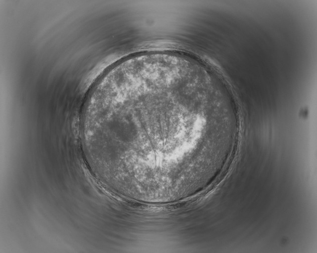 X0000115011457200912071153