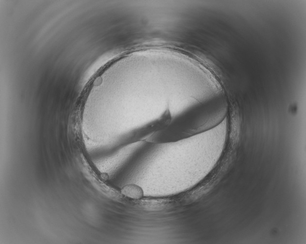 X0000115011458200912071153