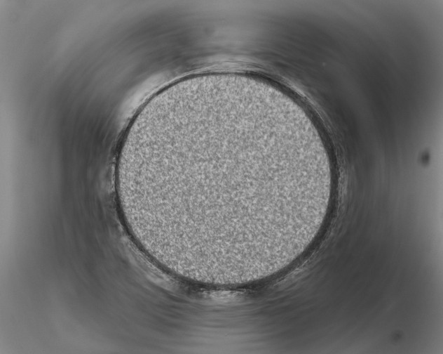 X0000115011459200912071153
