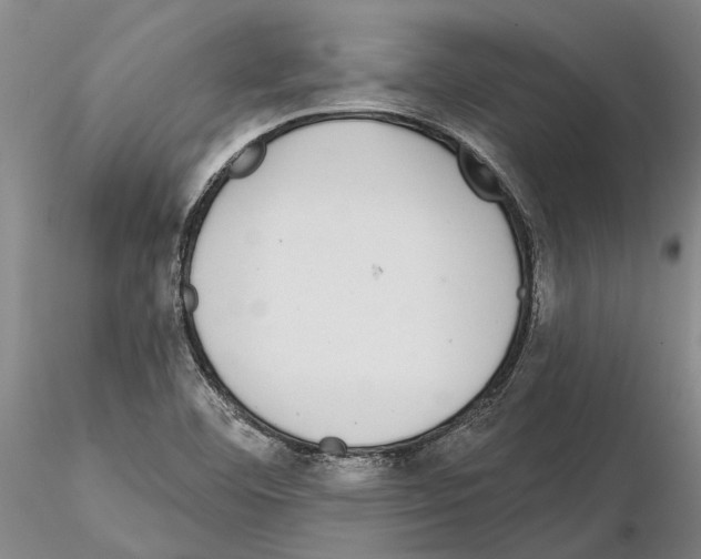 X0000115011460200912071153