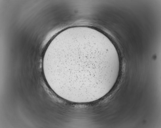X0000115011461200912071153