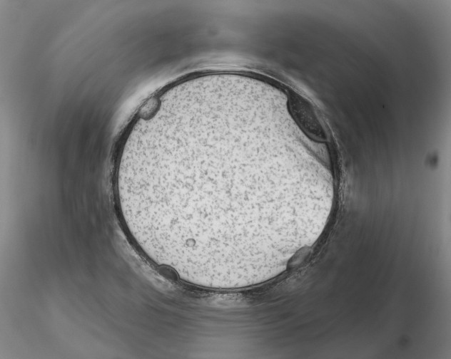 X0000115011464200912071153