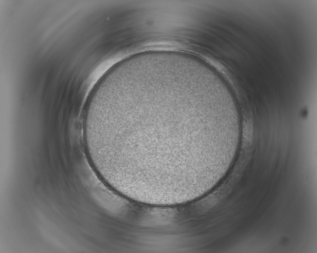 X0000115011466200912071153