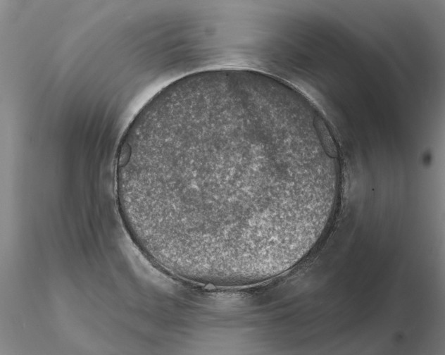 X0000115011468200912071153