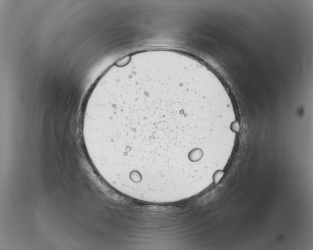 X0000115011469200912071153