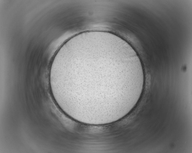 X0000115011470200912071153