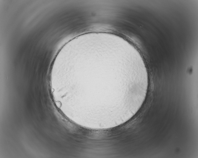 X0000115011471200912071153
