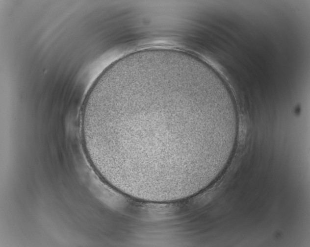 X0000115011474200912071152