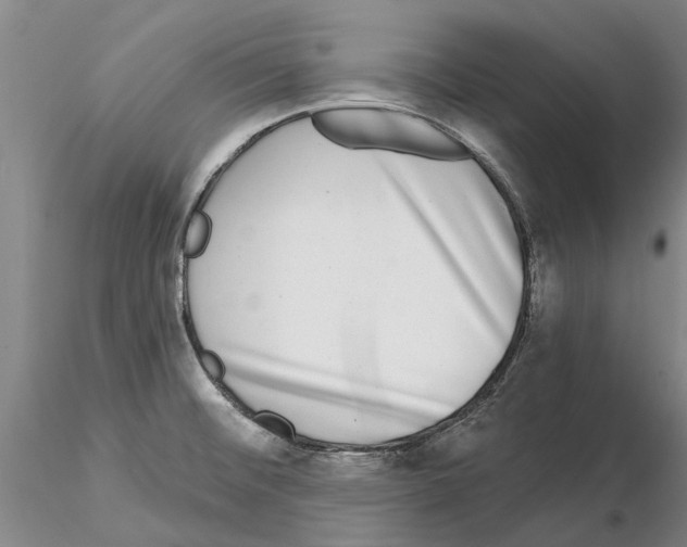 X0000115011476200912071152
