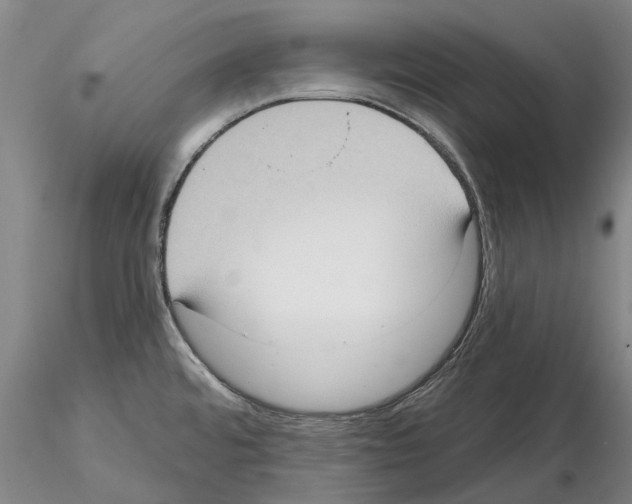 X0000115011480200912071152