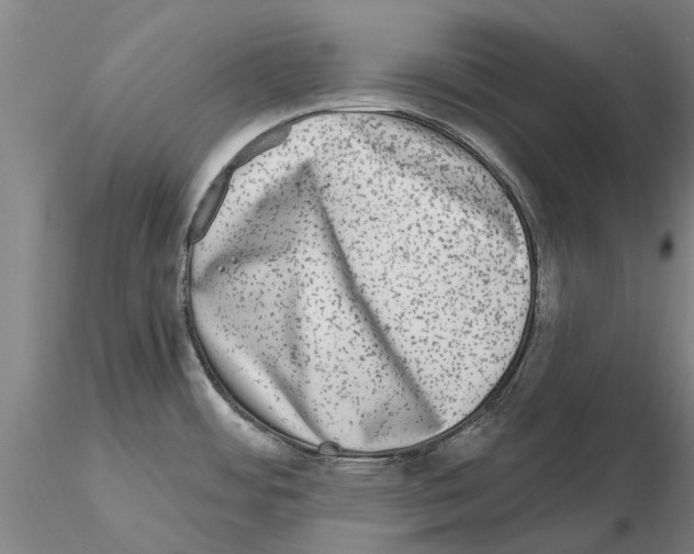 X0000115011484200912071152